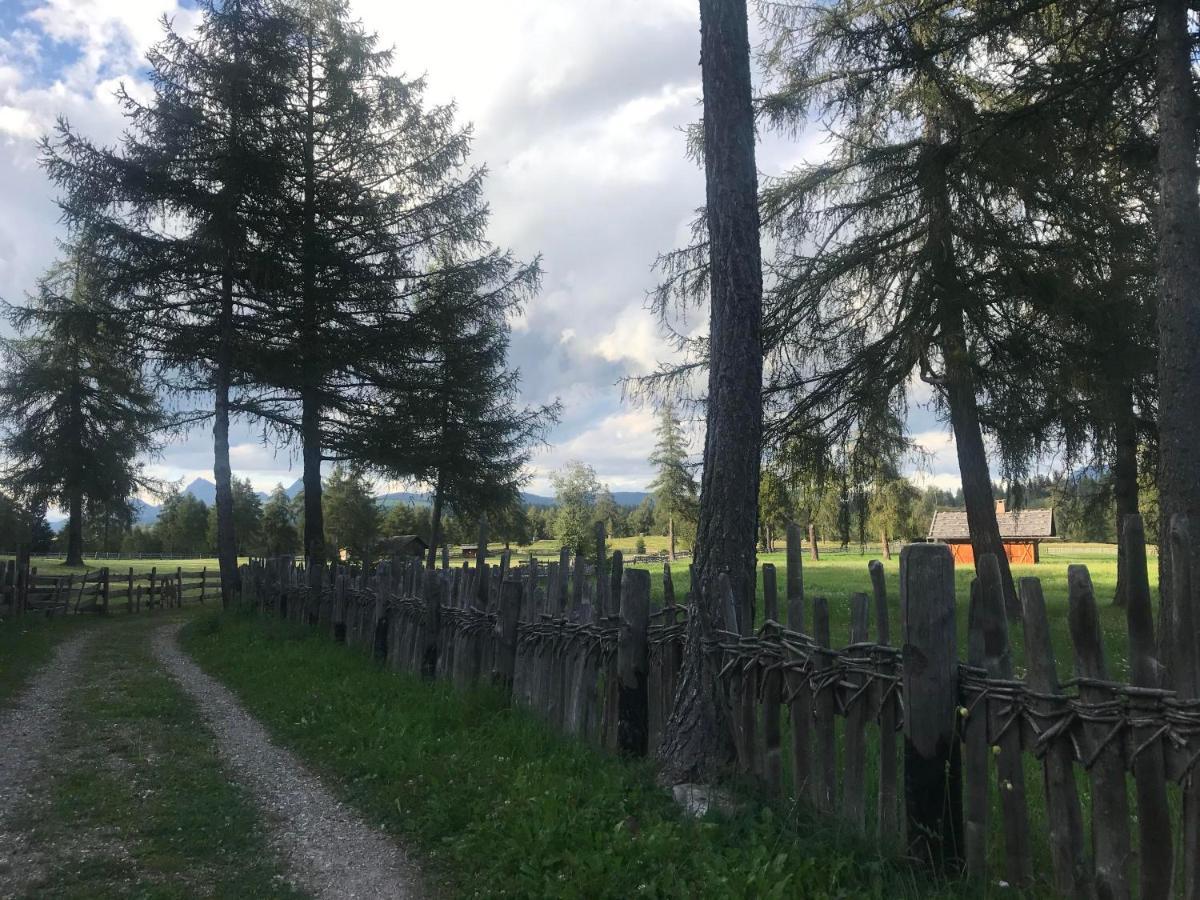 Beckenbinder Apartement Schlern San Genesio Atesino Exteriör bild